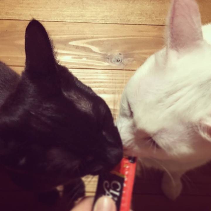 Bec10904 a32f 410f 8991 51c0466f9bca