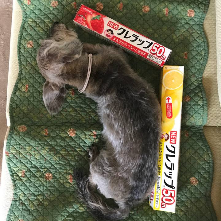 Bec10ab8 9a52 41ca 9109 6bb1ea689c6a