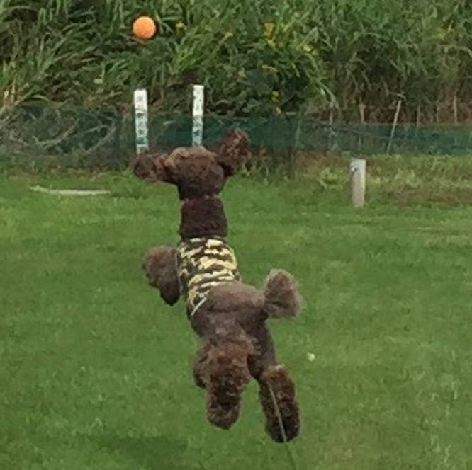 Bec192f2 b561 481a 9c02 1a13ff35eb51