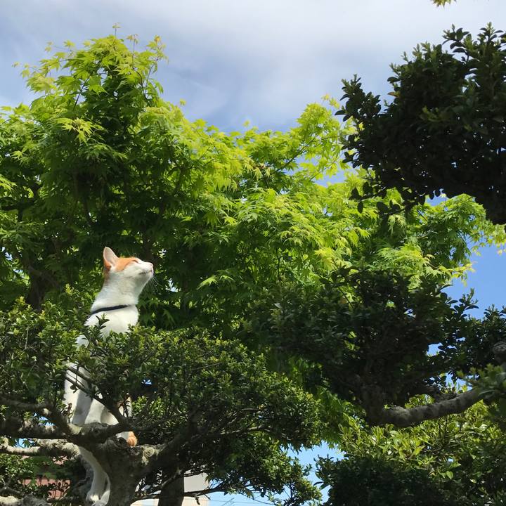 Bec26482 dc1a 43ec b3f5 fe5d05bf15ad