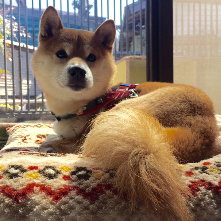 Bec2a09f ed58 4e01 9a71 1f94665cab2f