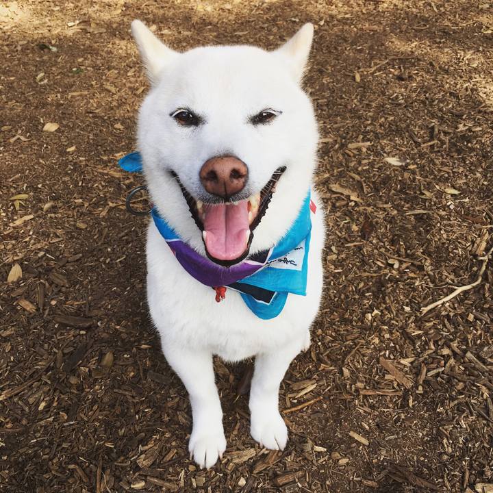 Bec2b4e4 6986 446c a30c dc4b1c65595f