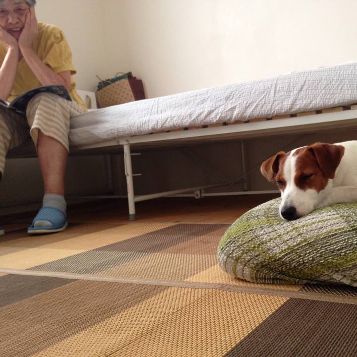 Bec312d3 08f0 42fd aed4 7123ec8df661