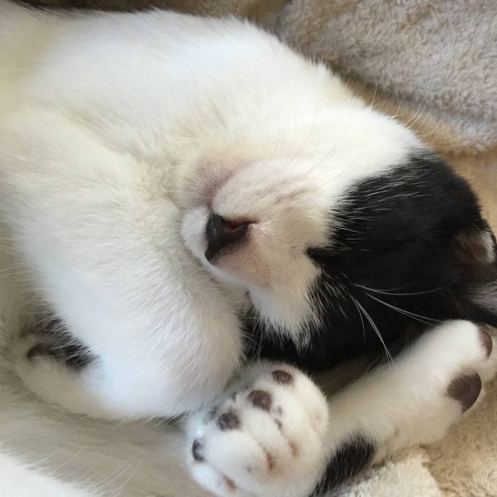 Bec35494 9259 49ca 9379 2772d76745b7