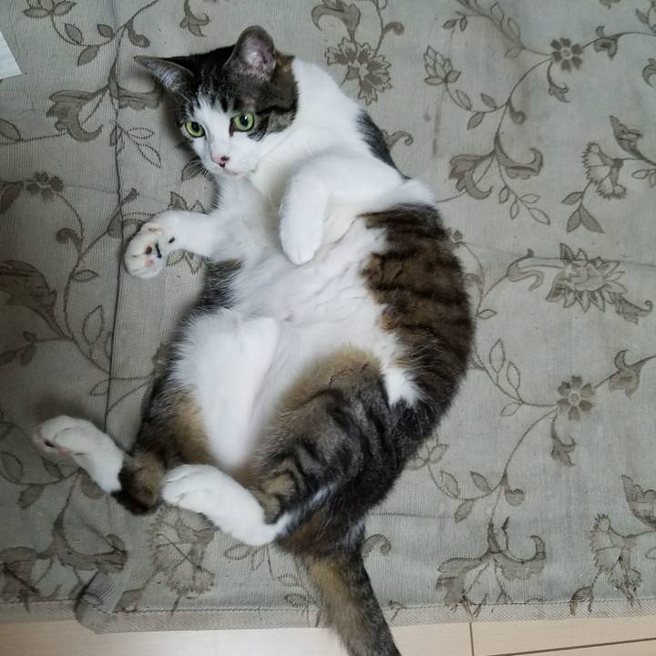 Bec39a72 7786 4997 b9c1 ae1b953ff6a5