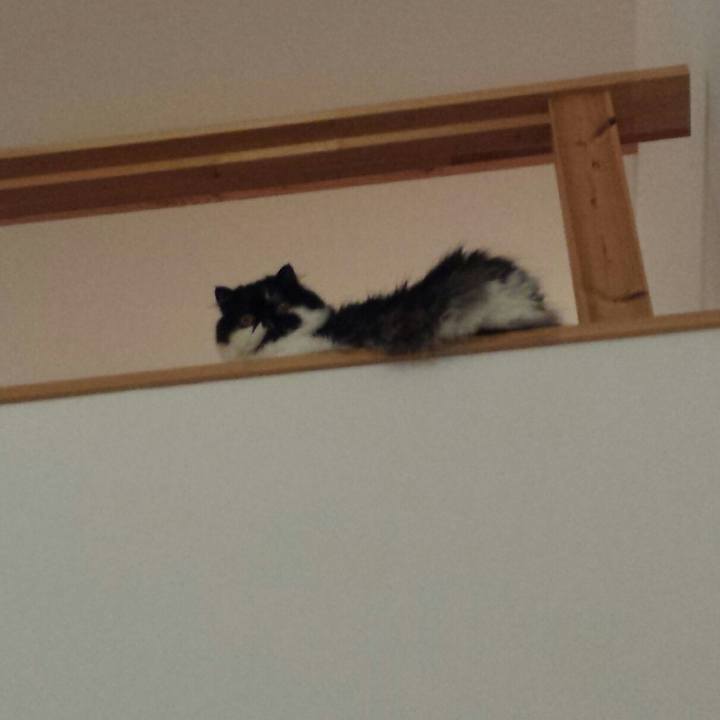 Bec409f0 c0d8 4c89 becf 4b1cba0a72d9