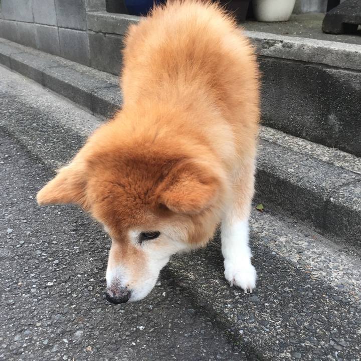 Bec410c8 2b80 4ca1 ab13 13de5ff9db3f