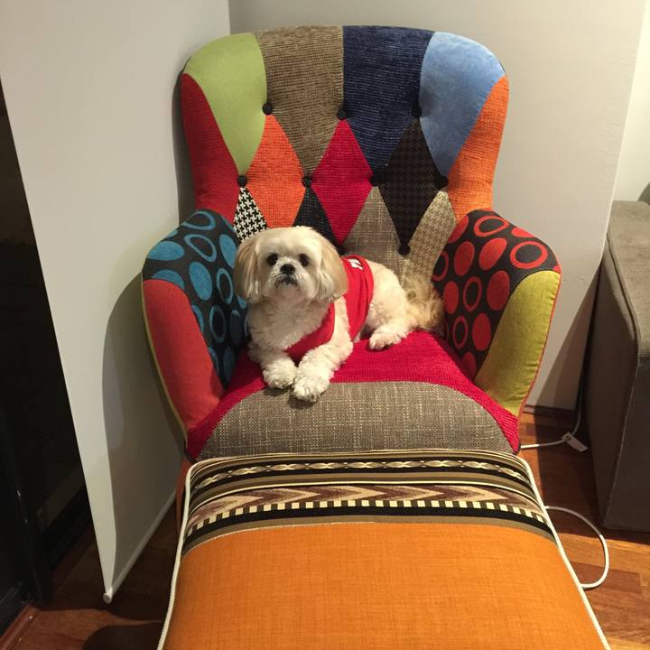 Bec519dc cd51 450a 8fa6 5cc952f1f338