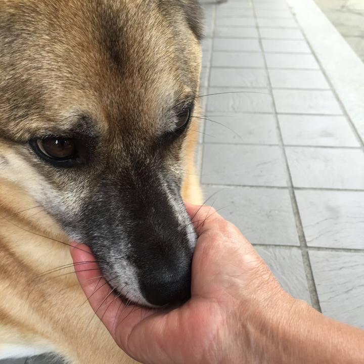 Bec56812 c906 4d2b ade4 746f2a545999