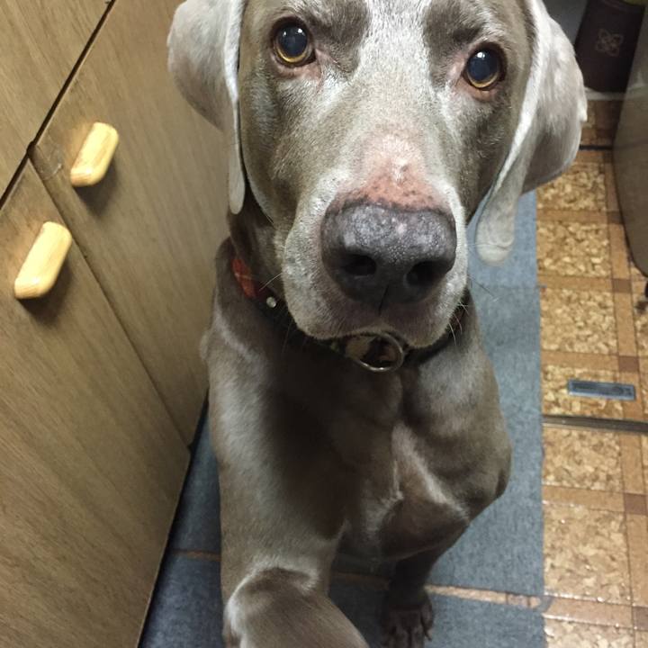 Bec58568 6243 420a 8e1e 6cca071affa5