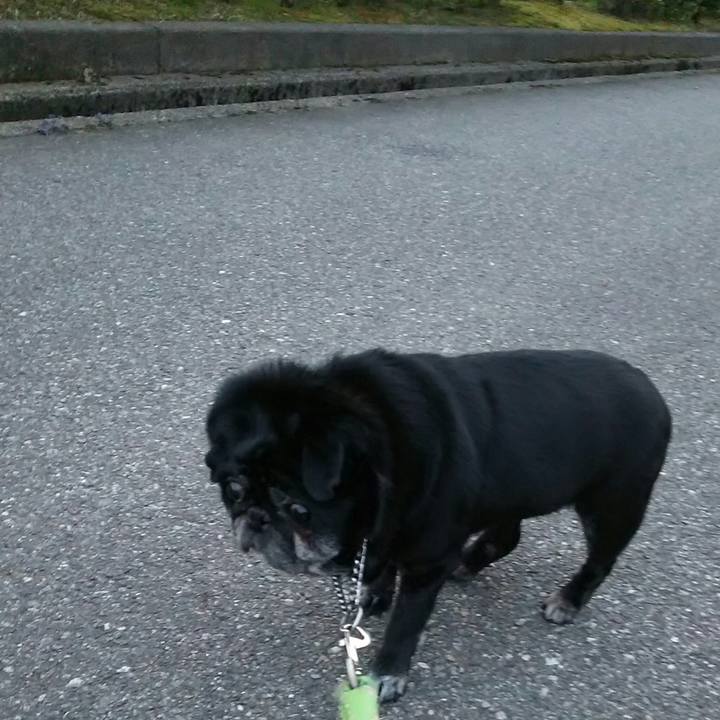 Bec5c457 8dc6 4199 8fd4 c98cf3b68cea