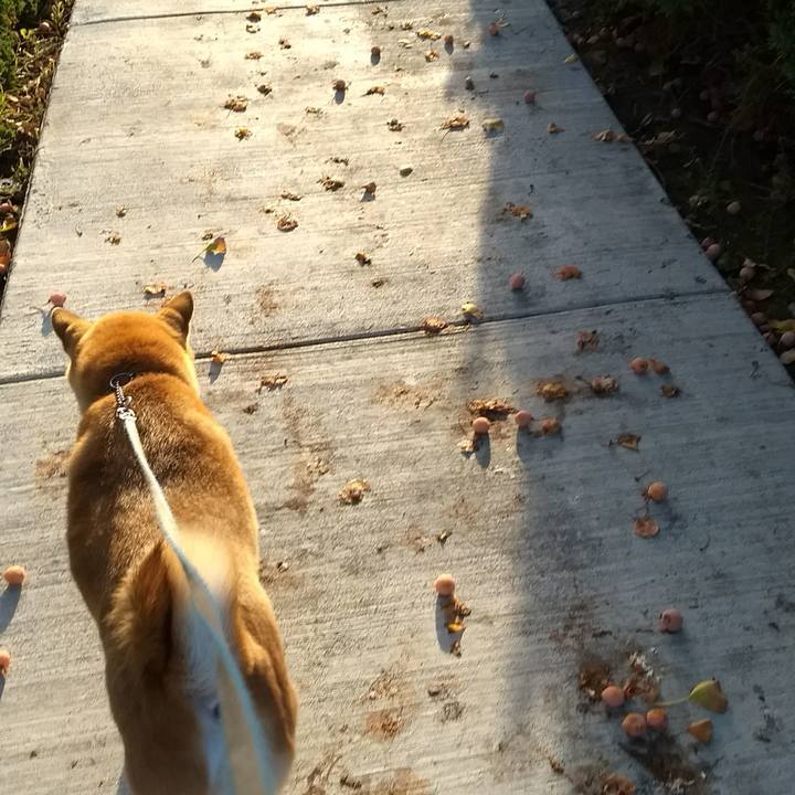 Bec6c87a 63c1 4de4 9e49 b0bc2a7bf677