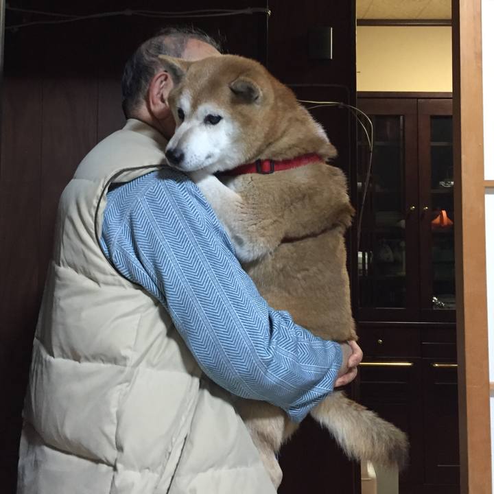 Bec6cceb 9c27 4d7a 95c4 76b2e8356e9a