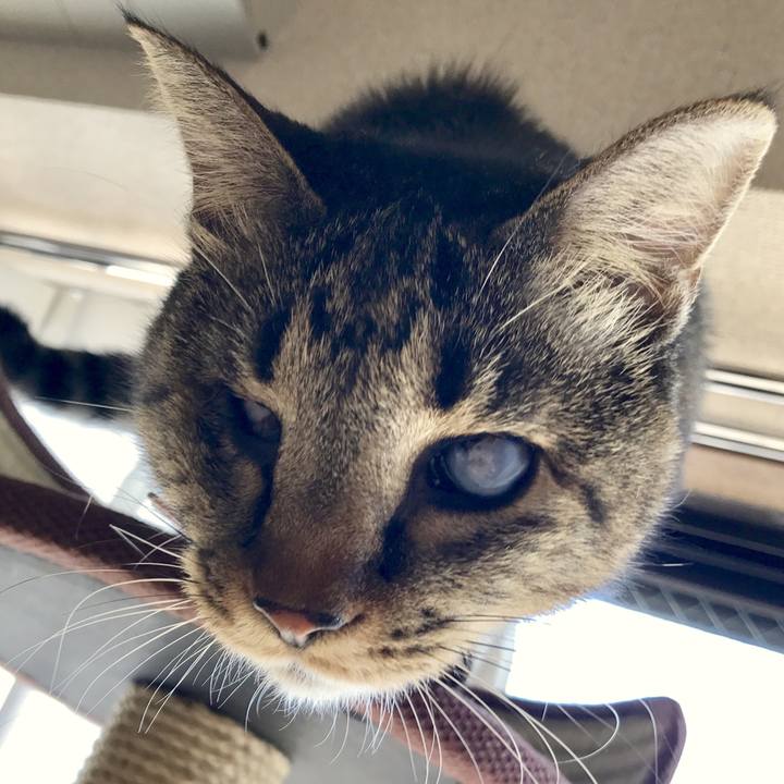 Bec6fc99 2807 4455 aee2 704c908d8418