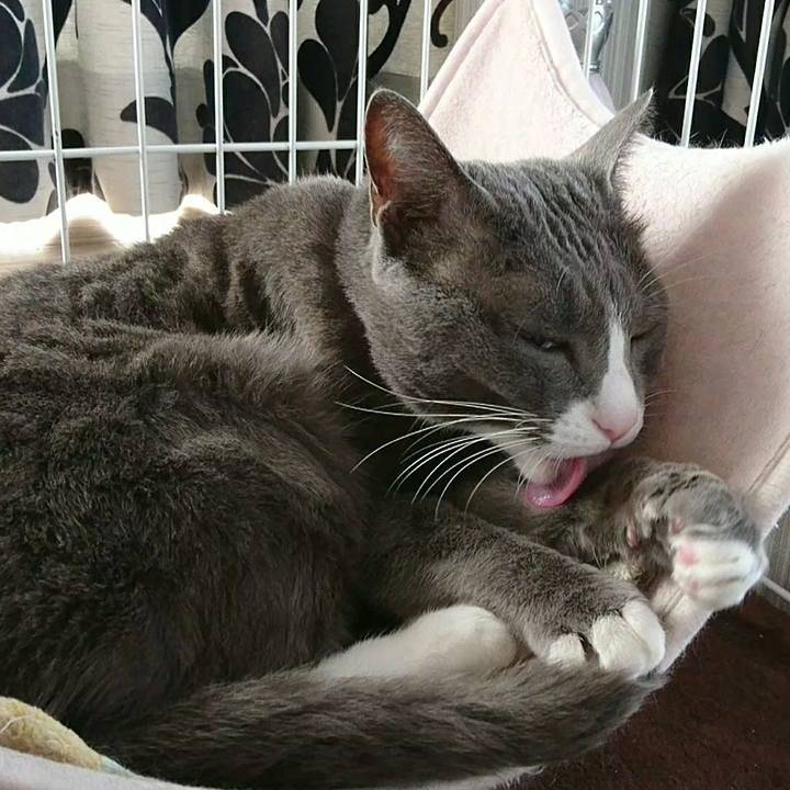 Bec7133c f0f6 481f 9c32 b0bd98b9e2f7