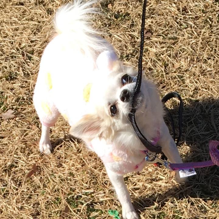 Bec768bb c2f5 4619 b37a 406ffc9b7bb0