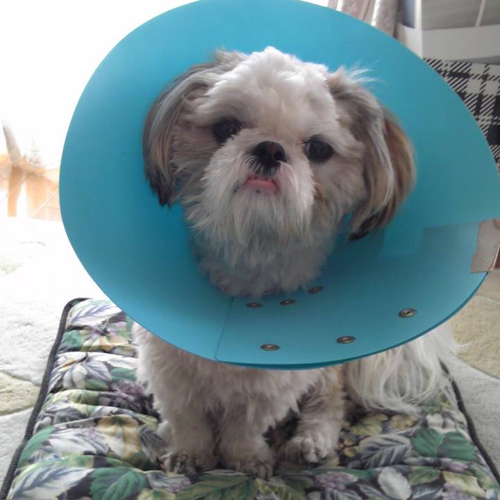 Bec7b07d 15de 486c bb10 bf64d108192f