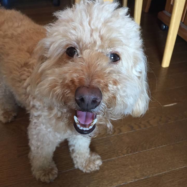 Bec7ed5e 52fb 4cff 95df 72d3d75b09ee