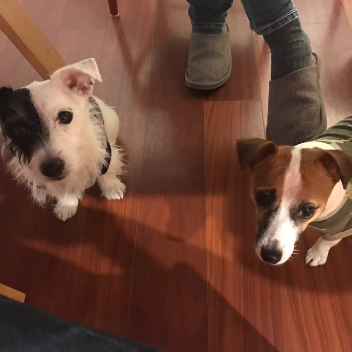 Bec80cc7 8503 48f8 8eb7 1c82ea27ef14