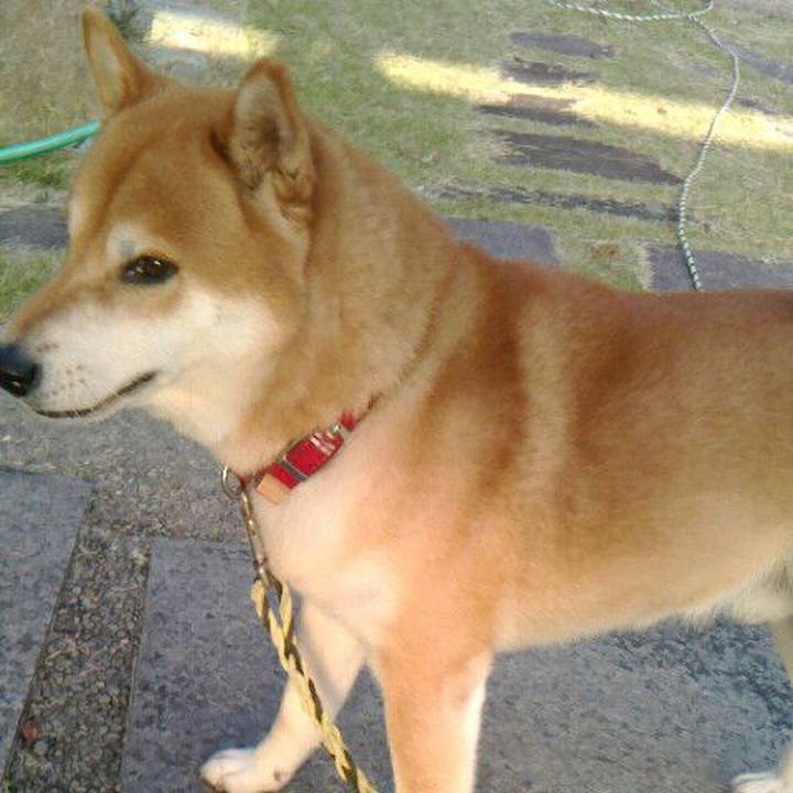 Bec83650 5c30 455c ba26 ca27cd92e547