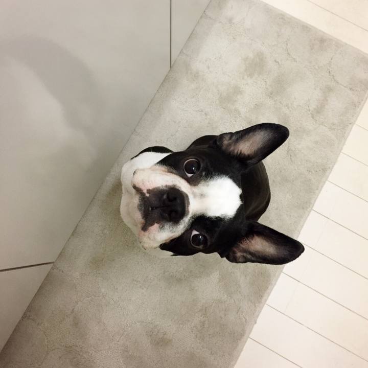 Bec851b9 7062 4927 a598 06dec07a878f