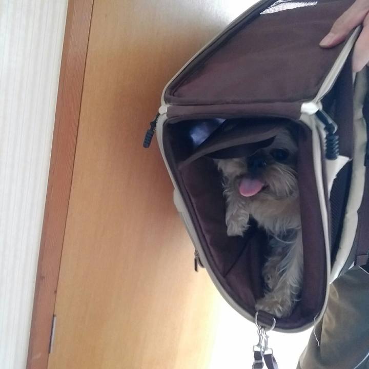 Bec86c4c fce5 4b46 856e bf893ba01170