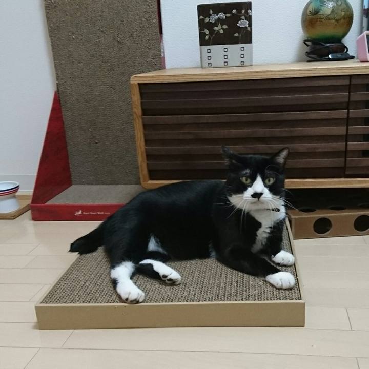 Bec8709f cc33 4835 a4bb e8dbcac992cf