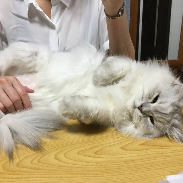 Bec97955 f827 4315 8e9d b24ff7bbbdb7