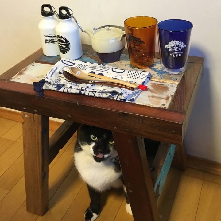 Bec996f9 cf6d 449e 8817 f66cdfcc6f11