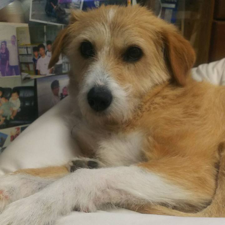 Beca625a c71a 48f1 82ba 4abd24deed9a