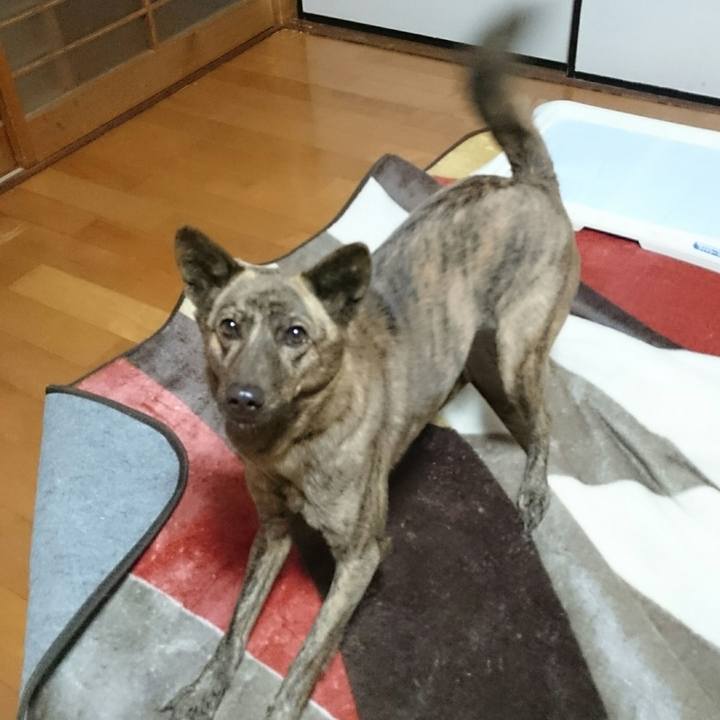 Beca6e2d c7f3 4db5 8eea 697afafd32d3