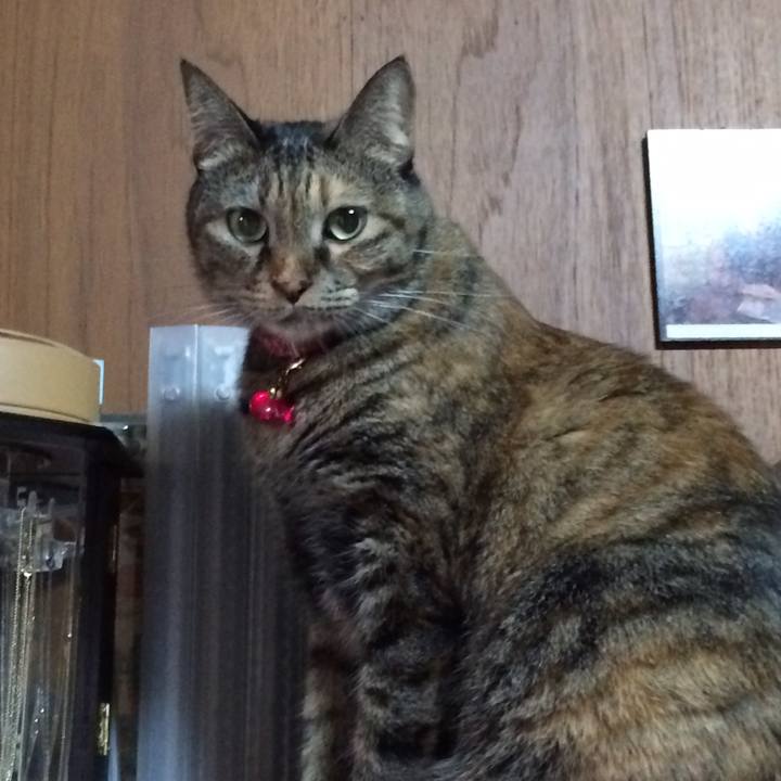 Becaa8b0 cffa 4ba5 850f 1802b5ac480e