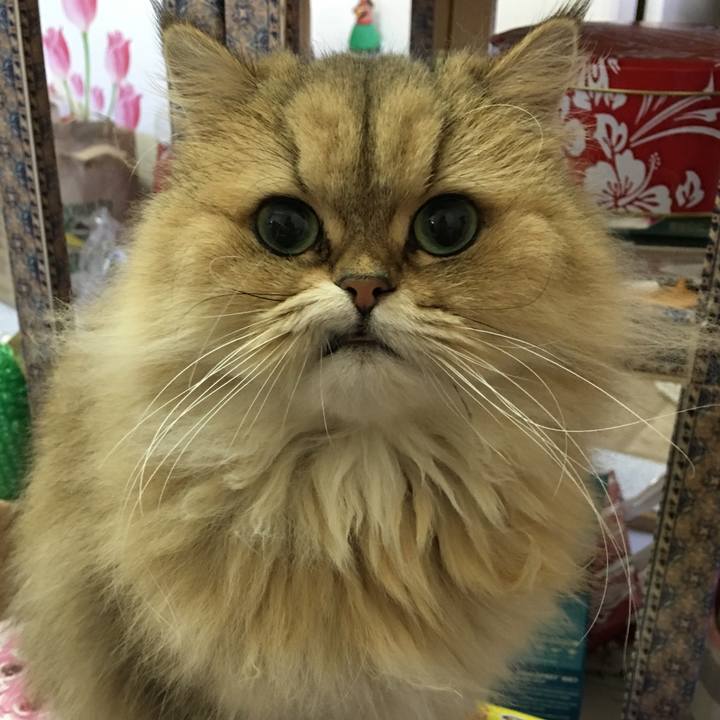 Becac392 fe82 4d78 8d89 eab598dd3539