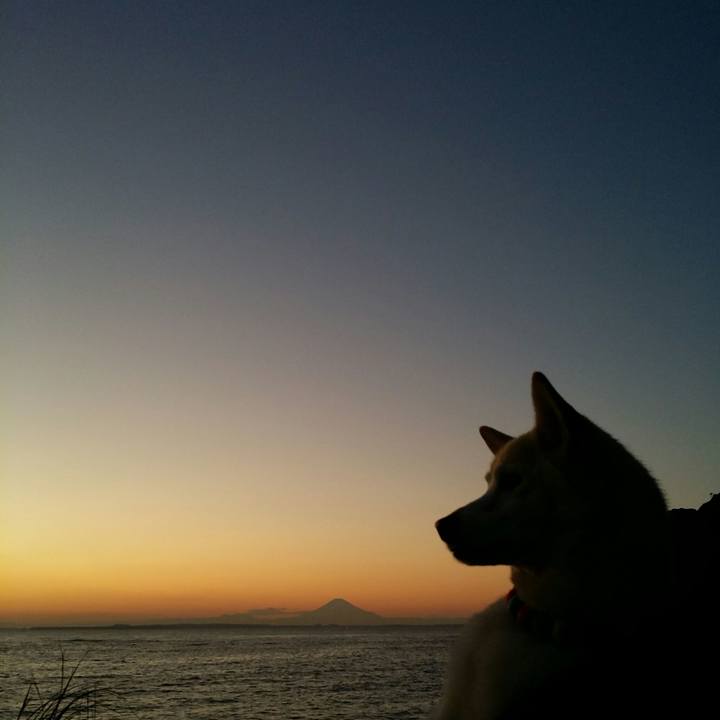 Becada5c e67c 48fb abf4 42878d67ab7f