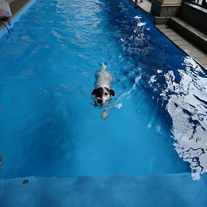 Becb4b96 be5d 4ac9 a801 b9531319c800