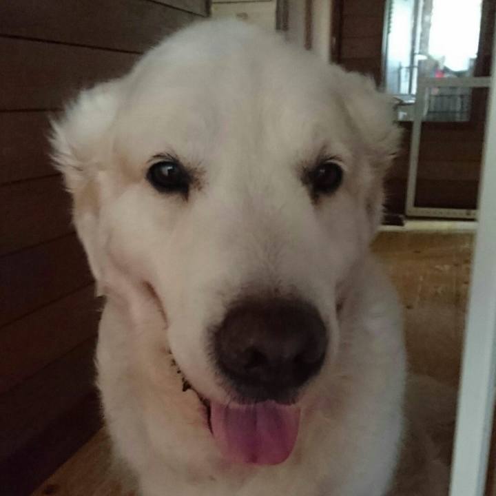 Becbf2e8 26e2 48e8 96fc 85405b1dbae2