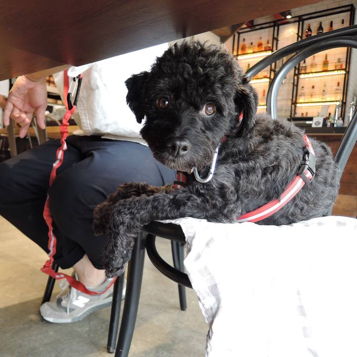 Becc6c93 7b05 43f6 8506 86dfce395dd9