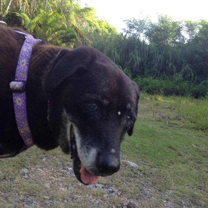 Becd8315 3f47 4477 925c 405153380af2