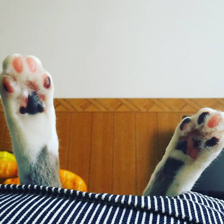 Becee56a 0d1b 49c4 a17f cb349eafa52b