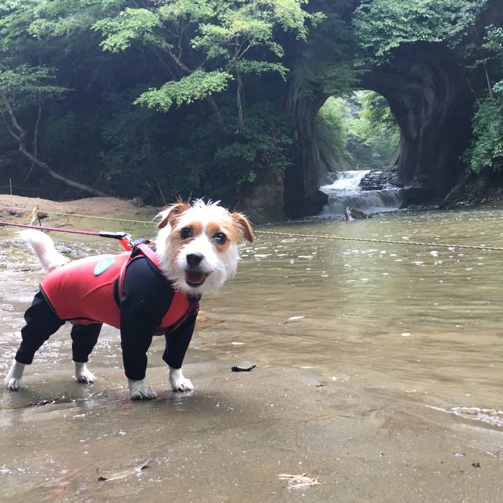 Beceffb4 0a7d 4a56 a6ed b5bd304301a4