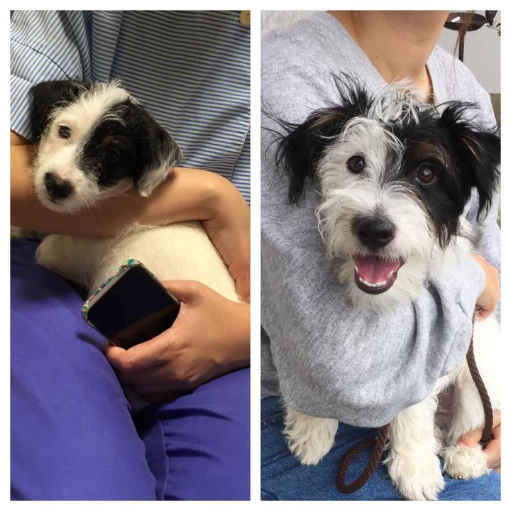 Becf0019 8444 44c3 9c88 dfff22332b9f