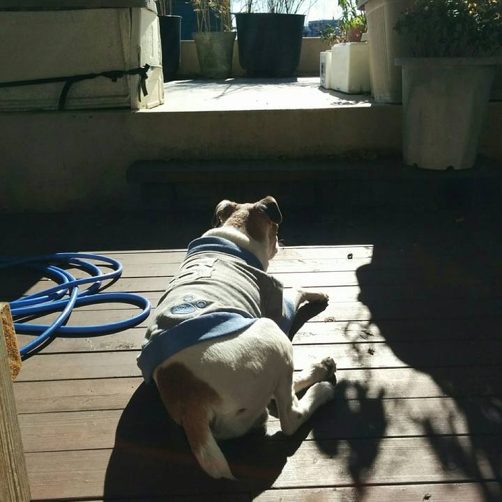 Becf13ad 181f 40a8 bfb6 401df5c9f921