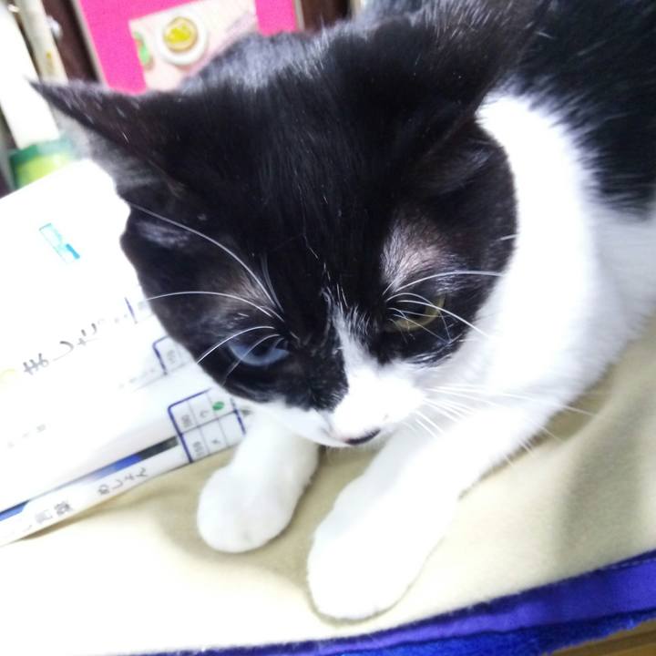 Becf24ce e4d3 455b 917a 83851a782072