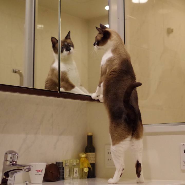 Becf390b b448 4cd7 b360 ccd158079df2