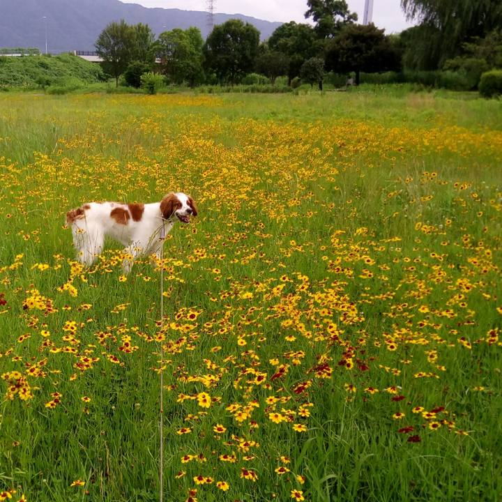 Bed0b3b2 ff91 4094 9dc3 4578a3ca2608