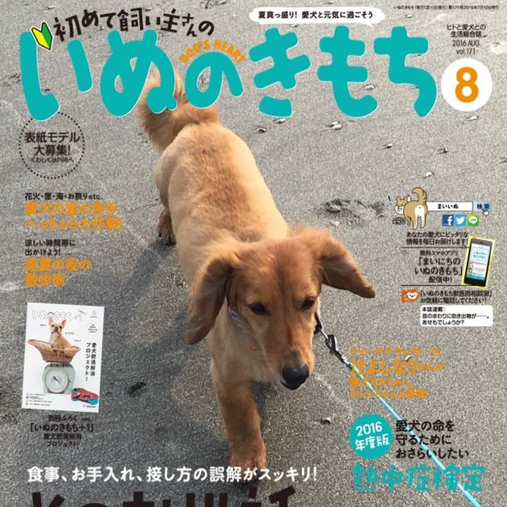 Bed0f1ff bb99 458f b639 50c9b327d4fe