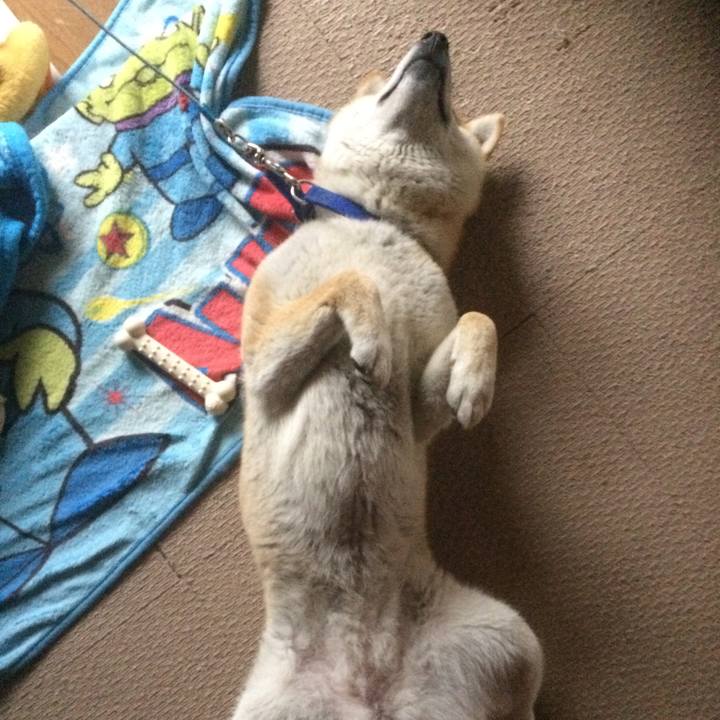 Bed107a4 d4b7 417c 883a 4b886222c040