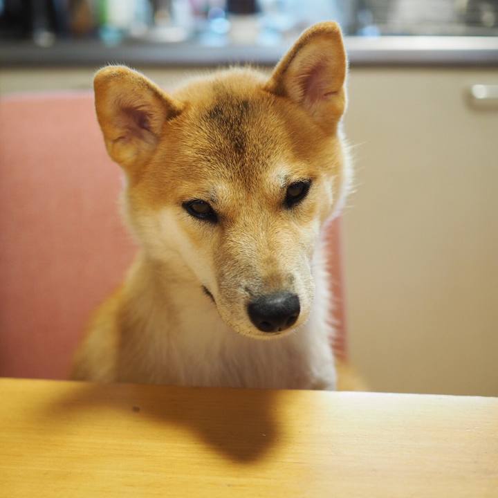 Bed15260 c047 44a0 9efe 0a8c7dcd8223