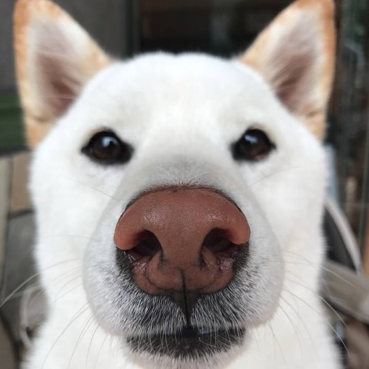 Bed16222 b634 4b4a 88e0 ef815cb51fb1