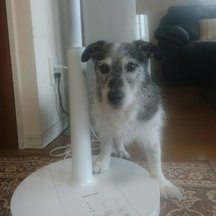 Bed16b69 cd46 46b0 868f 86c07f9b5594